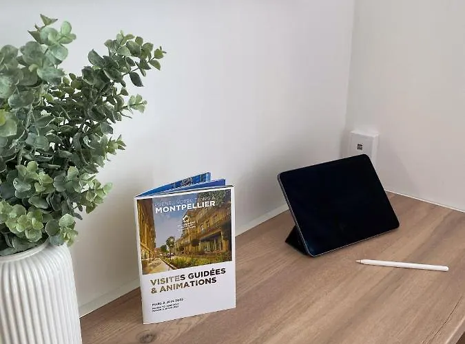 Climatisee Lit Double Dans - Proche Centre Tramway * Montpellier